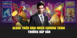 Đá Gà Mộc Bài AE888 – Trải Nghiệm Đấu Trường Gà Chọi Hấp Dẫn