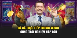 Đá Gà Trực Tiếp Thomo AE888 Cùng Trải Nghiệm Hấp Dẫn