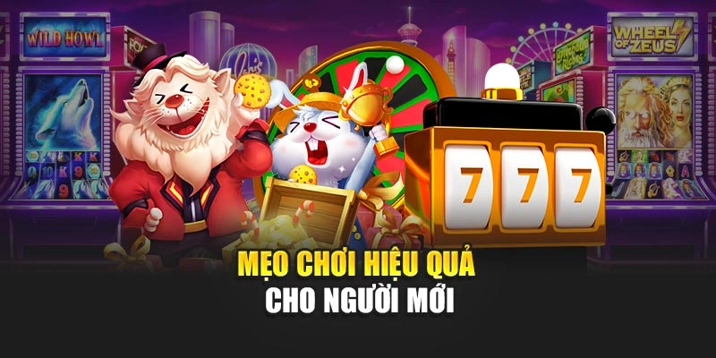 Mẹo chơi hiệu quả cho người mới