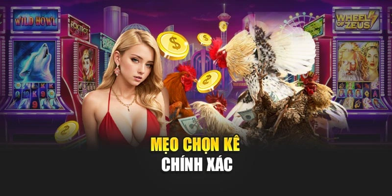 Mẹo chọn kê chính xác