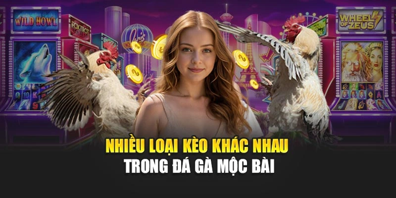 Nhiều loại kèo khác nhau trong đá gà Mộc Bài